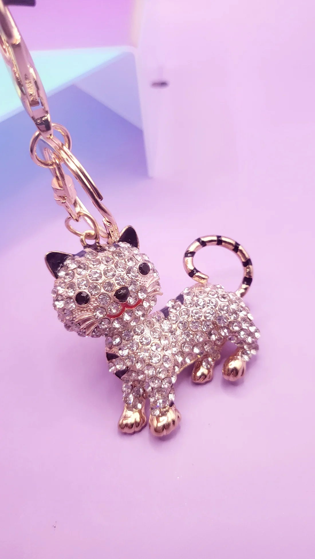 Cat Key chain